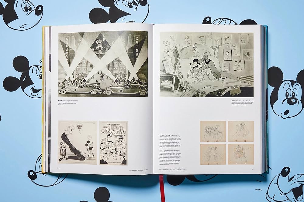 81D+t2o4hNL._AC_UF1000,